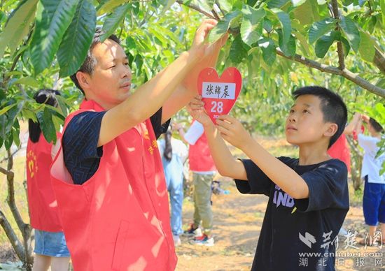 湖北-關(guān)愛(ài)少年兒童-誠(chéng)信栗花助留守兒童看世界項(xiàng)目-2021年6月15日在湖北省黃岡市羅田縣白廟河鎮(zhèn)東安河小學(xué)板栗林進(jìn)行板栗樹(shù)認(rèn)領(lǐng)