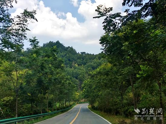 S259 銅天線(xiàn).jpg.jpg